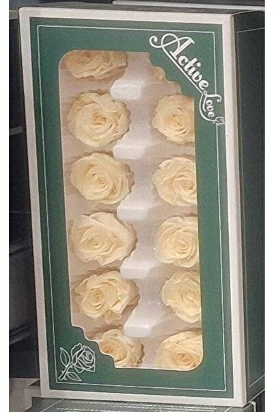 OEM Trandafiri criogenati, 12 bucati/cutie, diametru 4 cm Crem