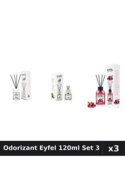Eyfel Set 3 Odorizant Camera Betisoare 120ml - Orhidee, Lacramioare, Fructe P...