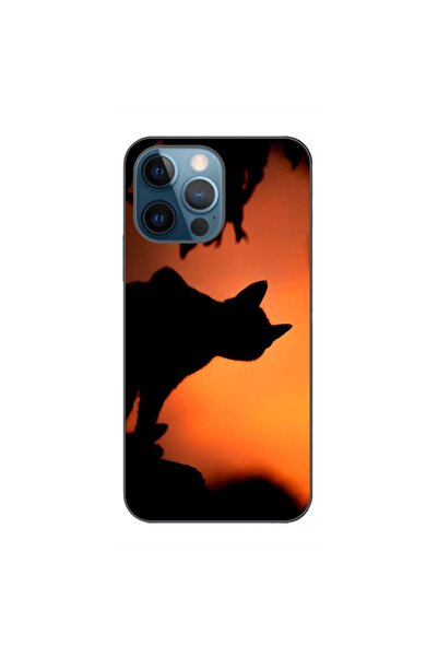 OEM Θήκη συμβατή με Apple iPhone 12 Pro από σιλικόνη gel TPU με σχέδιο Μαύρη ...
