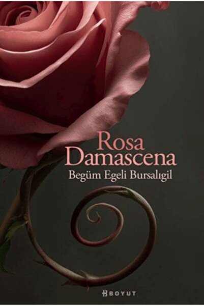 Boyut Yayın Grubu Rosa Damascena (Damask Gülü)