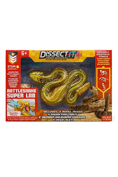 minidor Dissect Çıngıraklı Yılan Anatomi İnceleme Seti STEM Eğitim Oyuncağı 3...
