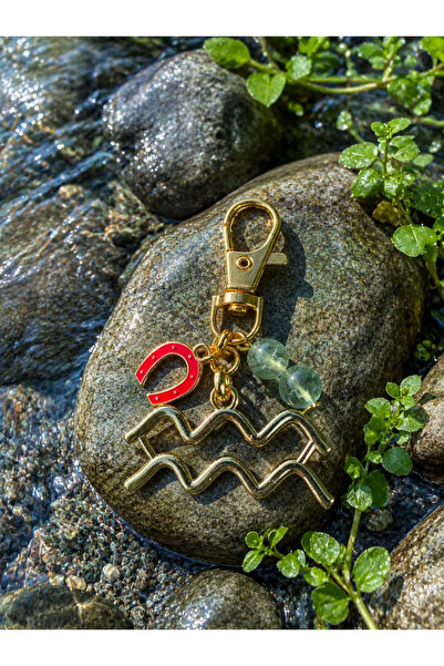 Astrolog Elvan Aquarius Zodiac Sign Lucky Keychain