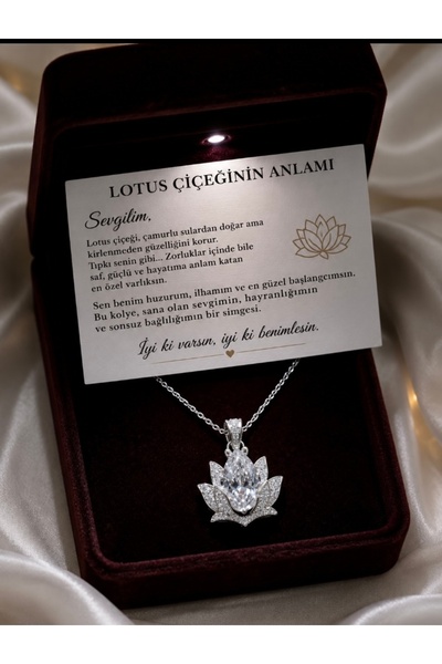 SARIASLAN Işıklı Kutuda Yeni Lotus Çiçeği Gümüş Kolye Gümüş Renk