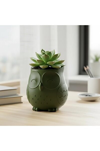 OEM Ghiveci Decorativ Bufniță Stil Japandi - Suport Plante Mici