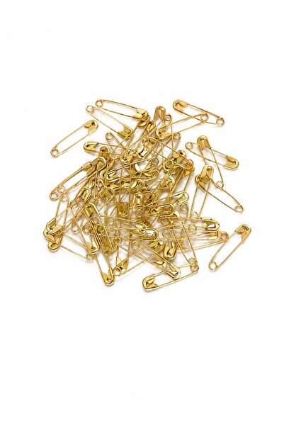 WORDAKS Mini Çengelli Iğne (2 Cm 1 Paket 100 Adet ) Gold