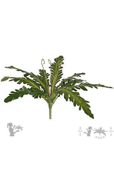 Roberto Rossi Artificial fern Asplenium nidus XS