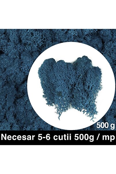 Roberto Rossi Licheni curatati si fara radacina conservati 500g NET, calitate...