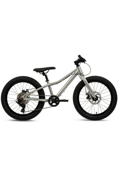 Other Bicicletă MTB Batch Alu 20” argintie (B374555W)