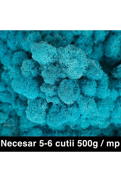 Roberto Rossi Licheni curatati si fara radacina conservati 500g NET, calitate...