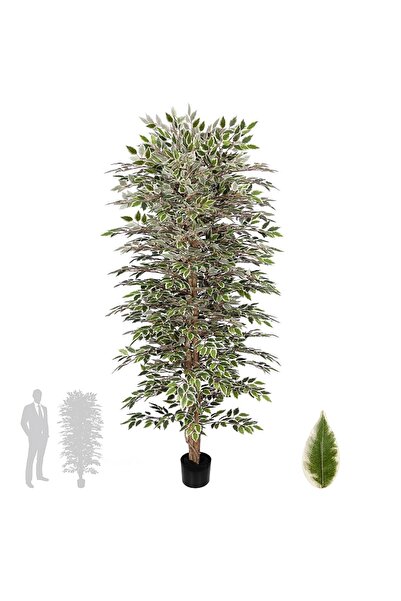 Roberto Rossi Copac artificial H180cm Ficus cu 3600 frunze mini verzi cu alb