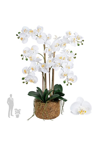 Roberto Rossi Orhidee artificiala alba cu aspect H66 cm cu 4 tulpini
