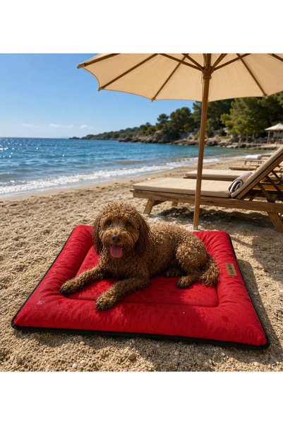 Bir Pati İzi Kedi ve Köpek Yer Minderi Outdoor Su Geçirmez Üst Kalite Tüy ve ...