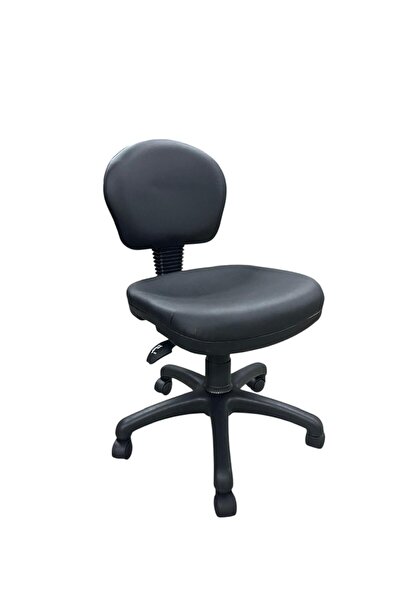 YILDIZ METAL OFİS Ergonomik Sırtlıklı Çalışma sandalyesi Amortisörlü Vezne ve...