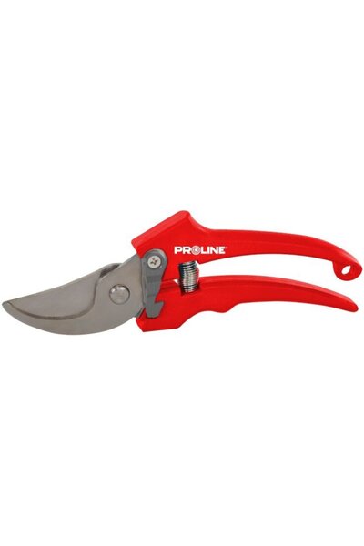 Proline FOARFECA VIE INOX / 18MM