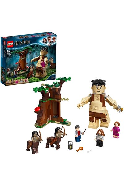 LEGO مجموعة بناء غابة هاري بوتر المحرمة: مواجهة أمبريدج 75967 (253 قطعة)