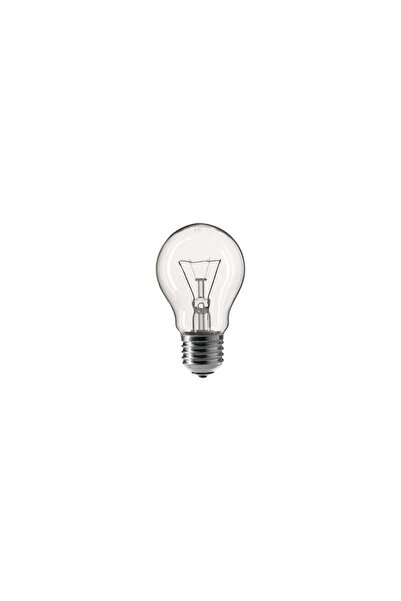 Generic Tungsram Λάμπα Πυρακτώσεως LowVoltage 42V, 40W, για Ντουί E27