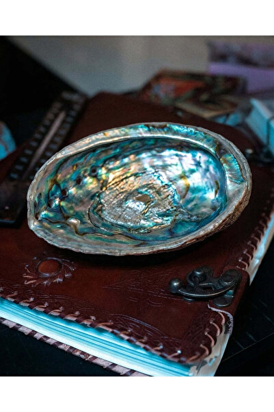 Namaruna Scoică Abalone Curcubeu (Paua) - Haliotis iris