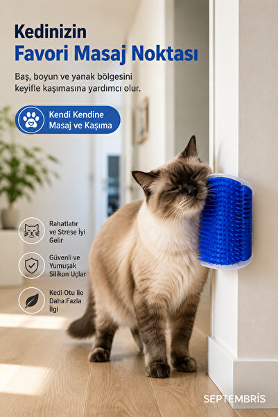 septembris CatComfort Duvara Monte Kedi Kaşıma ve Masaj Fırçası
