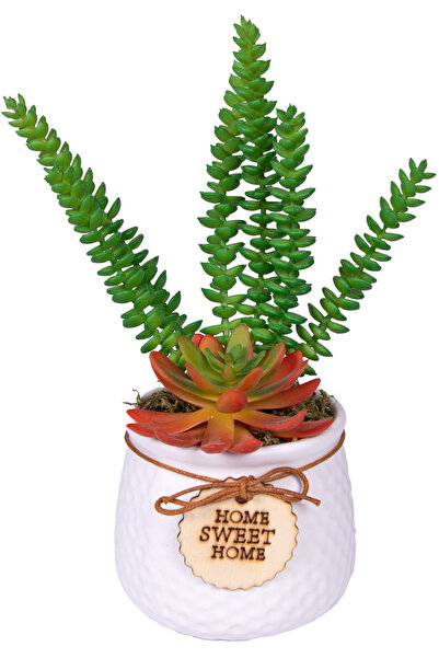 Herdekora Succulent Arrangement in Ceramic White Pot Burgundy-Green 20X24 Cm.