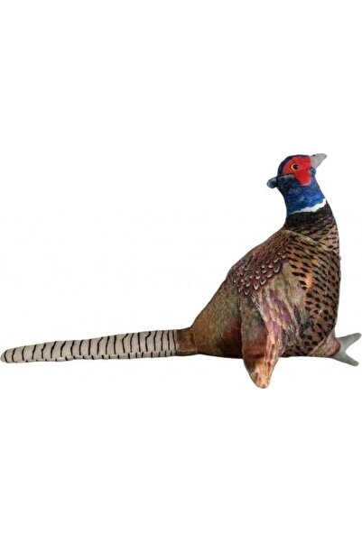 Dubi Fazan 30cm