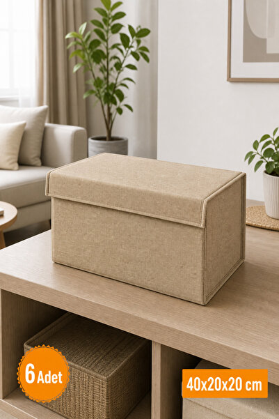 Emma Oliwia 6 Pieces Beige Closet Organizer with Lid, Foldable Clothing Stora...