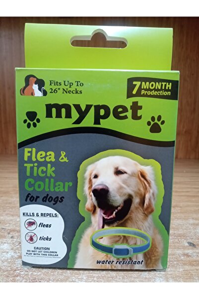 Mypet 2 ADET KÖPEK PİRE TASMASI
