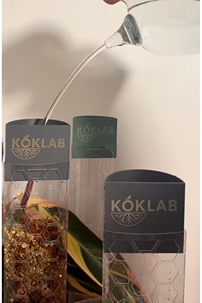 Köklab Yosun çubuğu su haznesi