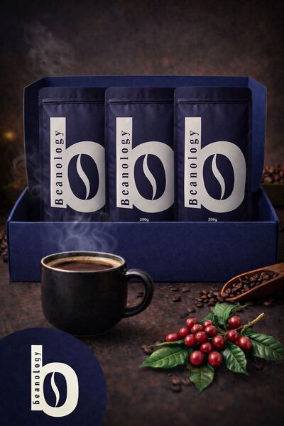 Beanology Coffee Brazilian triple box medium roast 250 g+ 250 g + 250 g