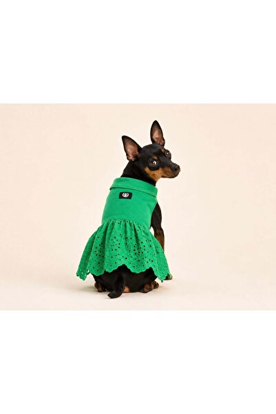 Alphadog Fisto Green Small Breed Dog Dress
