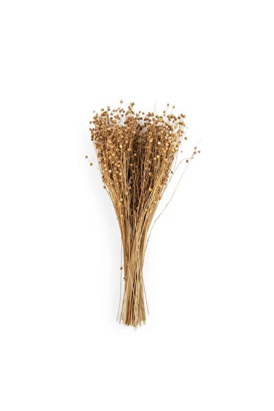PAN HOME Tessi Dried Bouquet H50cm - Natural