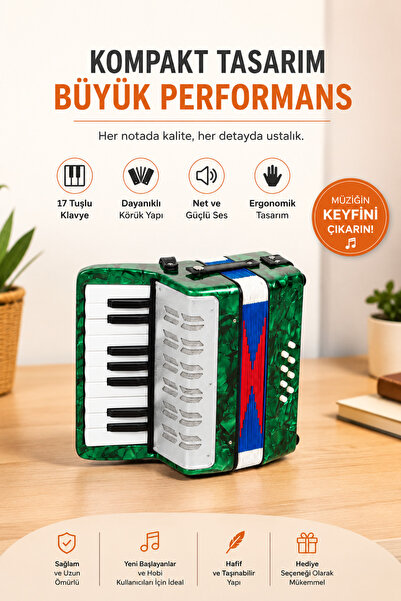 Furia Orta Boy Çocuk Akordiyonu 6-15 Yaş Yeşil Gri Eğitici Müzik Aleti