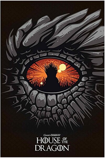 ESSESORIES Game Thrones House Dragon Maxi Gaming Poster Wall Art Room Decor S...
