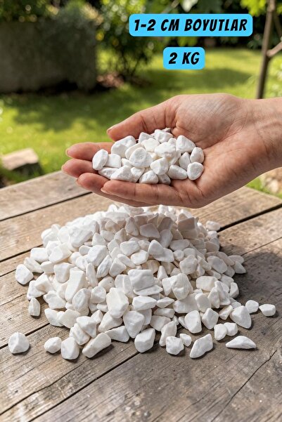Genel Markalar Home Beyaz Taş 2 Kg 1-2 Cm Beyaz Dolomit Taş Dere Taşı Çakıl T...