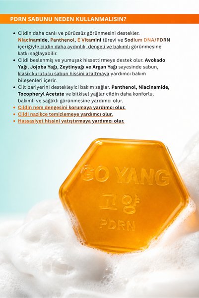 GO YANG Pdrn Salmon Dna Moisturizing and Cleansing Skin Soap 100 Gr