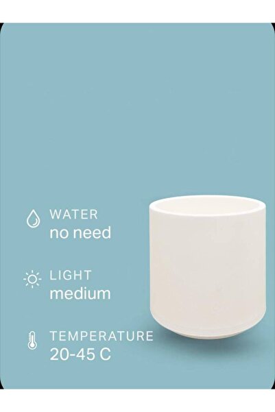 OEMS Plastic Planter White