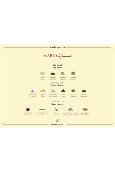 NAWAF مــارِدْ - MARID