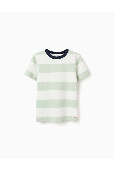 Ziddy Striped cotton T-shirt for boys, white/green/blue