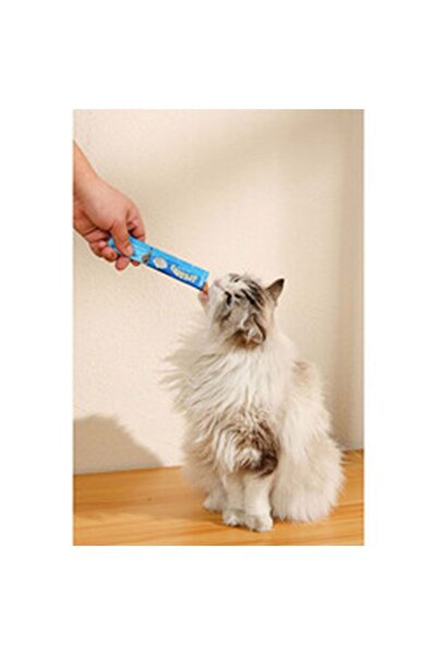 M-PETS Kedi Ödül Maması Ton Balık,Karides 15*4 G