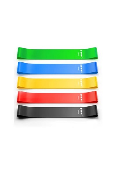 Champ Kit Resistance Bands Set - Pulling Aid and Strength Training for Men & ...