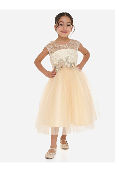 Victor and Jane By Styli Girls Flower Applique Mesh Insert Festive Dress