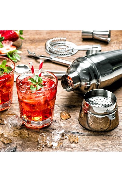 Z Store Shaker de cocktail din oțel inoxidabil, 600ml