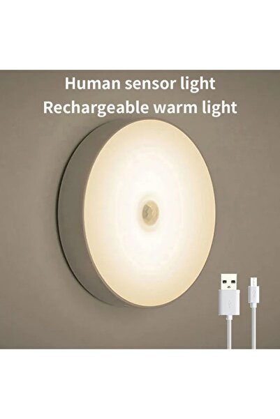 Choice 2pcs Warm Light LED Smart Cabinet Lights with Human Body Sensor Emerge...