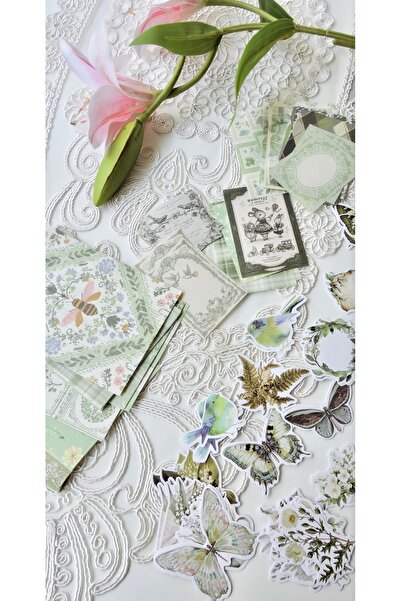 Nova Crafts Açık Yeşil Tonları Junk Journal Seti 100 parça 40 adet Sticker 60...