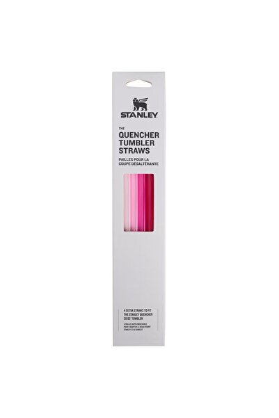 Stanley Quencher Καλαμάκια για 0.89 λίτρα Ροζ Πολυσυσκευασία (10-03001-041)