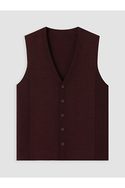 LC Waikiki Vizyon New Season Regular Fit V-Neck Men's Knitwear Vest