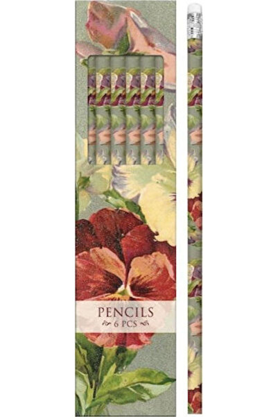 AMSCAN Creioane decorative Stpen13 Bratki Set 6 bucăți