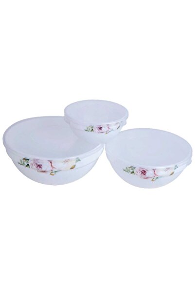 Shulopal 3 pcs Store Bowl Set with Lid