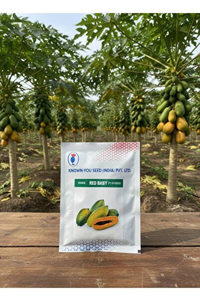 OEMS بذور البابايا الهجينة: حصاد وفير وطعم استثنائي