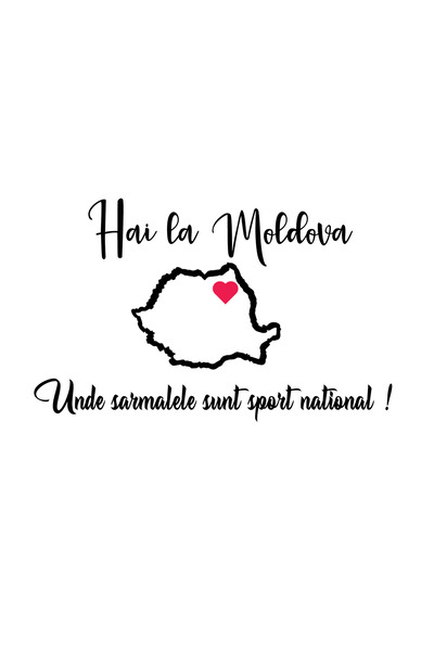 Amo-Stickers Стикер за кола Hai в Молдова 2 Тъмно сив