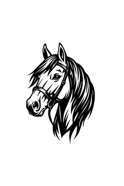 Amo-Stickers Румънски конски стикер 40см Тъмно сив